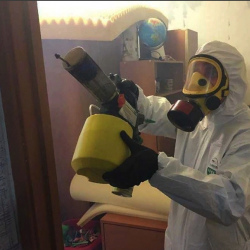 Уничтожение клопов в квартире. Мегион